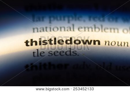 Thistledown Word In A Dictionary. Thistledown Concept.