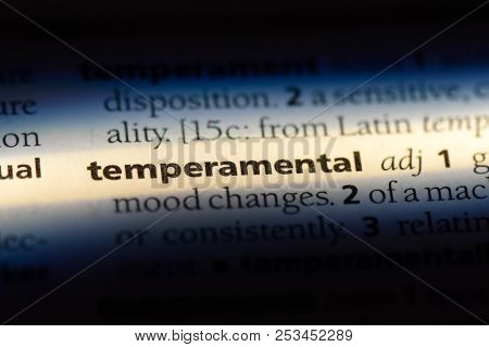 Temperamental Word In A Dictionary. Temperamental Concept.