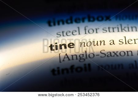 Tine Word In A Dictionary. Tine Concept.