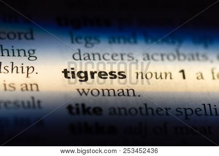 Tigress Word In A Dictionary. Tigress Concept.