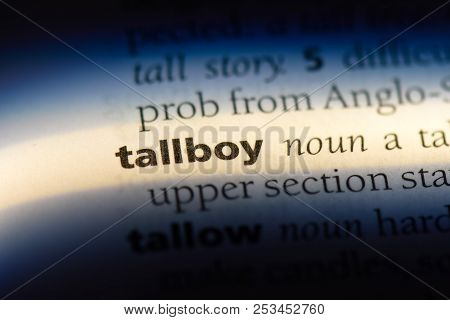 Tallboy Word In A Dictionary. Tallboy Concept.