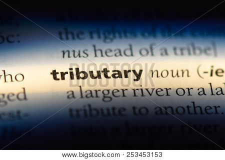 Tributary Word In A Dictionary. Tributary Concept.