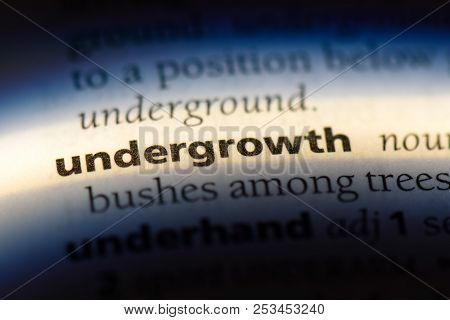Undergrowth Word In A Dictionary. Undergrowth Concept.