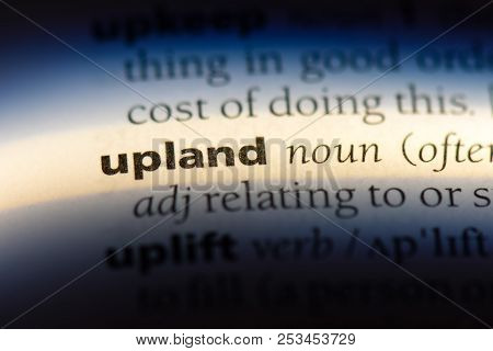 Upland Word In A Dictionary. Upland Concept.