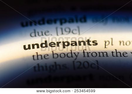 Underpants Word In A Dictionary. Underpants Concept.