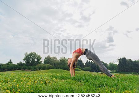 Dark-haired Woman Boosting Her Flexibility Standing In Crab Posture