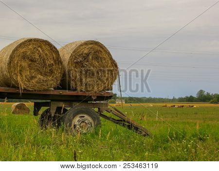 Two Twisted Hay Rolls On A Cart In The Field