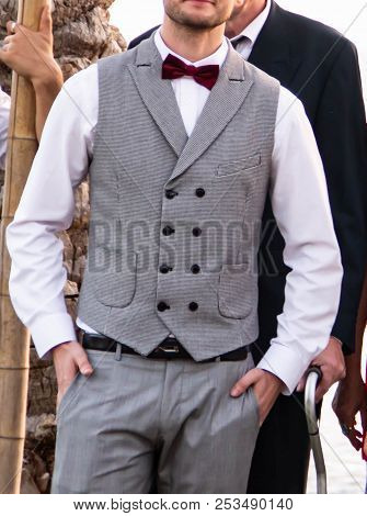 Groom Wedding Suit Gray In A Cage With A Bard Butterfly And A White Shirt