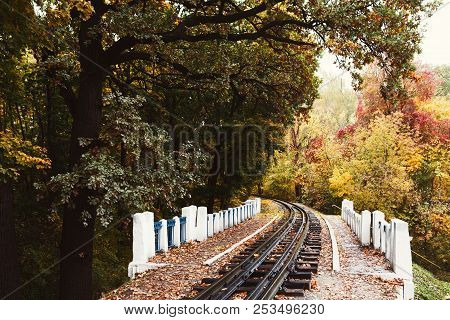 Fall Landscape, Railway Tracks Running Through Autumn Forest