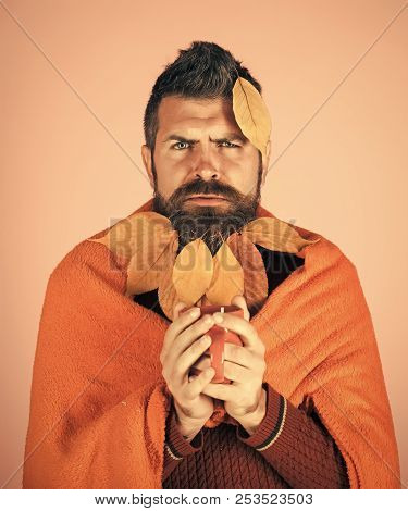 Season And Autumn. Leaves Beard At Barber And Hairdresser. Cold And Illness. Man With Natural Yellow