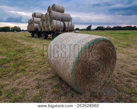 Hay Harvesting At The Fields In Lower Saxony