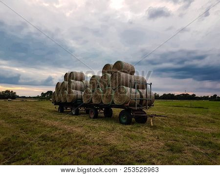 Hay Harvesting At The Fields In Lower Saxony