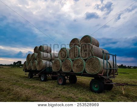 Hay Harvesting At The Fields In Lower Saxony