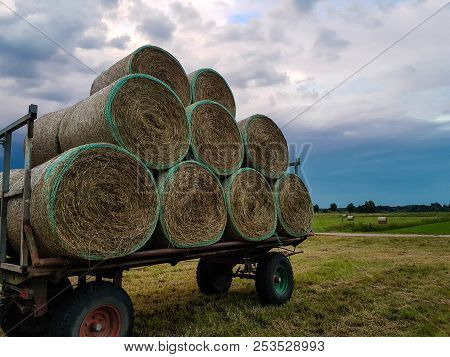 Hay Harvesting At The Fields In Lower Saxony