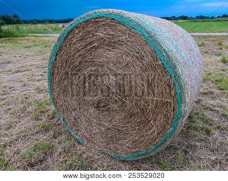 Hay Harvesting At The Fields In Lower Saxony