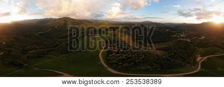 Panorama 360 Degree At Air. Beautiful Forest Panorama With Tea Plantation And Bright Sun
