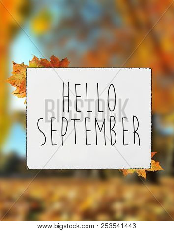 Hello September Autumn Text On White Plate Board Banner Fall Leaves Blur Background