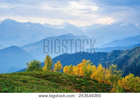 Autumn landscape in the mountains. Birch forest on the slope Mkheer mount. Caucasus, Georgia, Zemo Svaneti