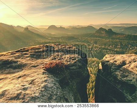View Through Pine And Beech Branches To Deep Misty Valley Within Daybreak. Sandstone Peaks Increased