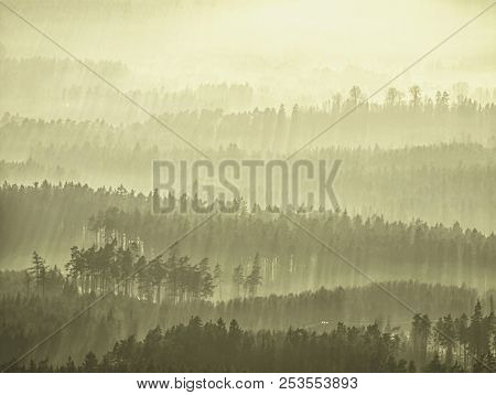 The Misty Land. High Trees And Hill Peaks Increased From Thick Fog. The First Sun Rays Create Sharp 