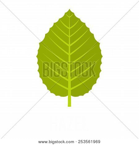 Hazel Leaf Icon. Flat Illustration Of Hazel Leaf  Icon Isolated On White Background