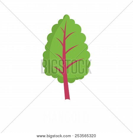 Mangold Icon. Flat Illustration Of Mangold  Icon Isolated On White Background