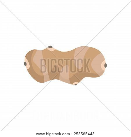 Topinambour Icon. Flat Illustration Of Topinambour  Icon Isolated On White Background