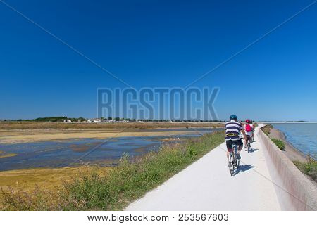 ILE DE RE, FRANCE - JUNE 25 2018: Bicycles on the island Ile the RÃ© on june 25 2018