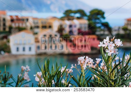 Bright White Flower Blossom In Front Of Turquoise Colored Bay In Mediterranean Sea And Beautiful Col