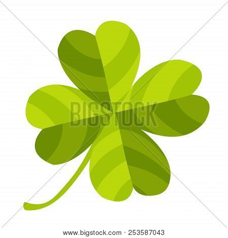 Four-leaf Clover. Vector Illustration Isolated On White Background.