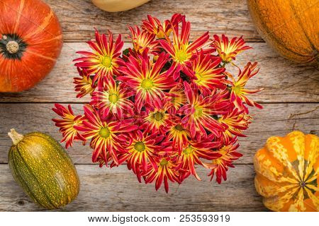 rustic barn wood background with a pot of fall mums, pumpkin and winter squash