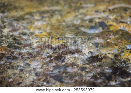 View From Above With Concrete Blocks With Fungus