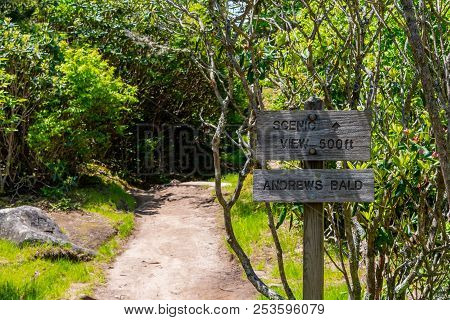Sign To Scenic View On Andrews Bald In The Smokies