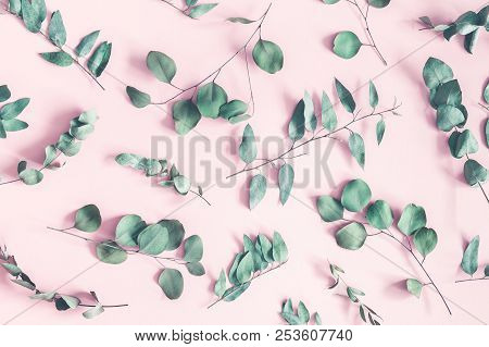 Eucalyptus Leaves On Pastel Pink Background. Flat Lay, Top View