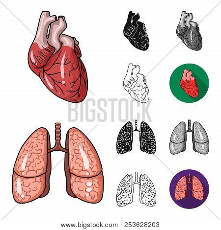 Human Organs Cartoon, Black, Flat, Monochrome, Outline Icons In Set Collection For Design. Anatomy A