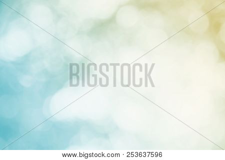 Blurred Leaf In Sunlight Shine On Background.