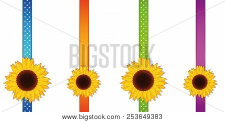 Sunflower Ribbon Decoration Set Vector Illustration Eps10