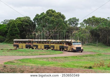 Melbourne, Australia - February 25, 2018: Safari Bus Taking Visitors Through Werribee Open Range Zoo