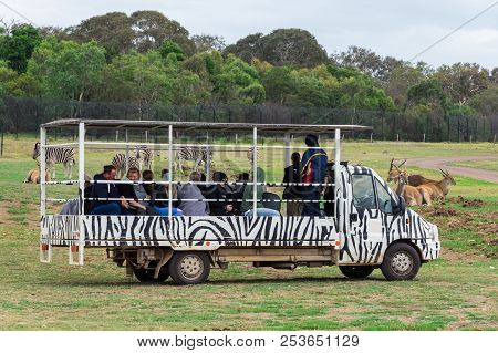 Melbourne, Australia - February 25, 2018: Safari Bus Taking Visitors Through Werribee Open Range Zoo