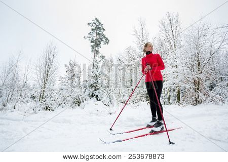 Cross-country skiing: young woman cross-country skiing on a winter day, taking a break to apreciate the snowy forest environment (color toned image)