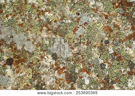 Background, Texture - Surface Of Wild Stone, Covered With Multi-colored Lichen