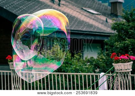2 Big Rainbow Soap Bubbles Flyining In The Air On A Garden Background