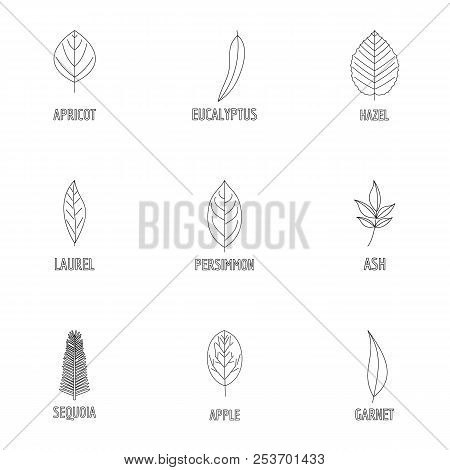 Wood Structure Icons Set. Outline Set Of 9 Wood Structure Icons For Web Isolated On White Background