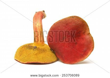 Hortiboletus Rubellus Mushroom, Formerly Known As Boletus Rubellus, The Ruby Bolete