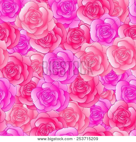 Seamless Pattern With Pink Roses. Vector Illustration.