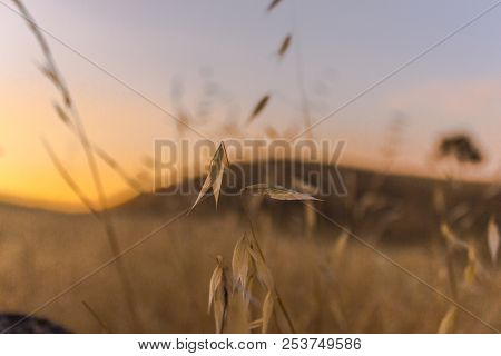 Beautiful Sunset At Sierra Vista Open Space Reserve