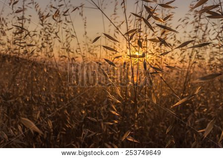 Beautiful Sunset At Sierra Vista Open Space Reserve