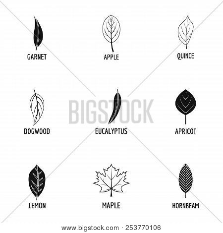 Tree Leave Icons Set. Simple Set Of 9 Tree Leave Icons For Web Isolated On White Background
