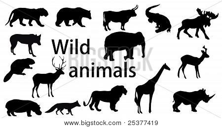 Vector Set: wilde Tiere