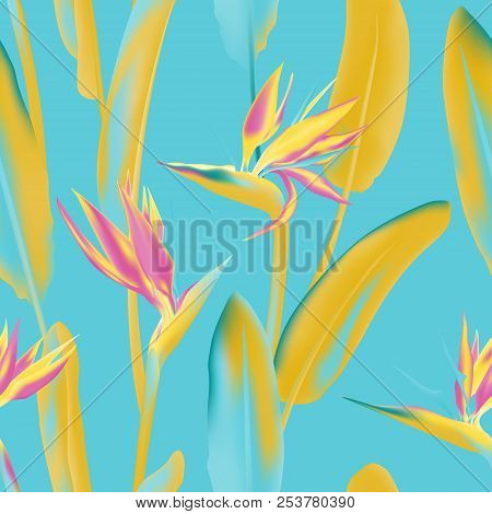 Pink And Cyan Blue South African Tropical Flower Seamless Vector Pattern. Jungle Plant Strelitzia Re